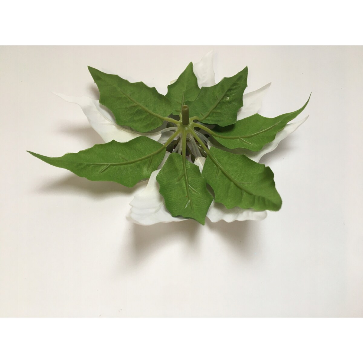 GWIAZDA KWIAT poinsecja BETLEJEMSKA BIAŁA jak żywa na bukiet stroik wianek