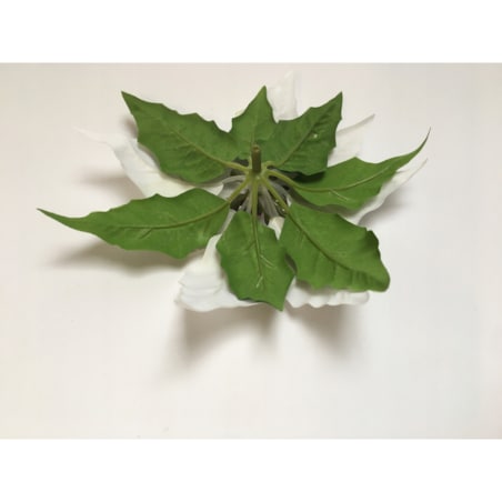 GWIAZDA KWIAT poinsecja BETLEJEMSKA BIAŁA jak żywa na bukiet stroik wianek