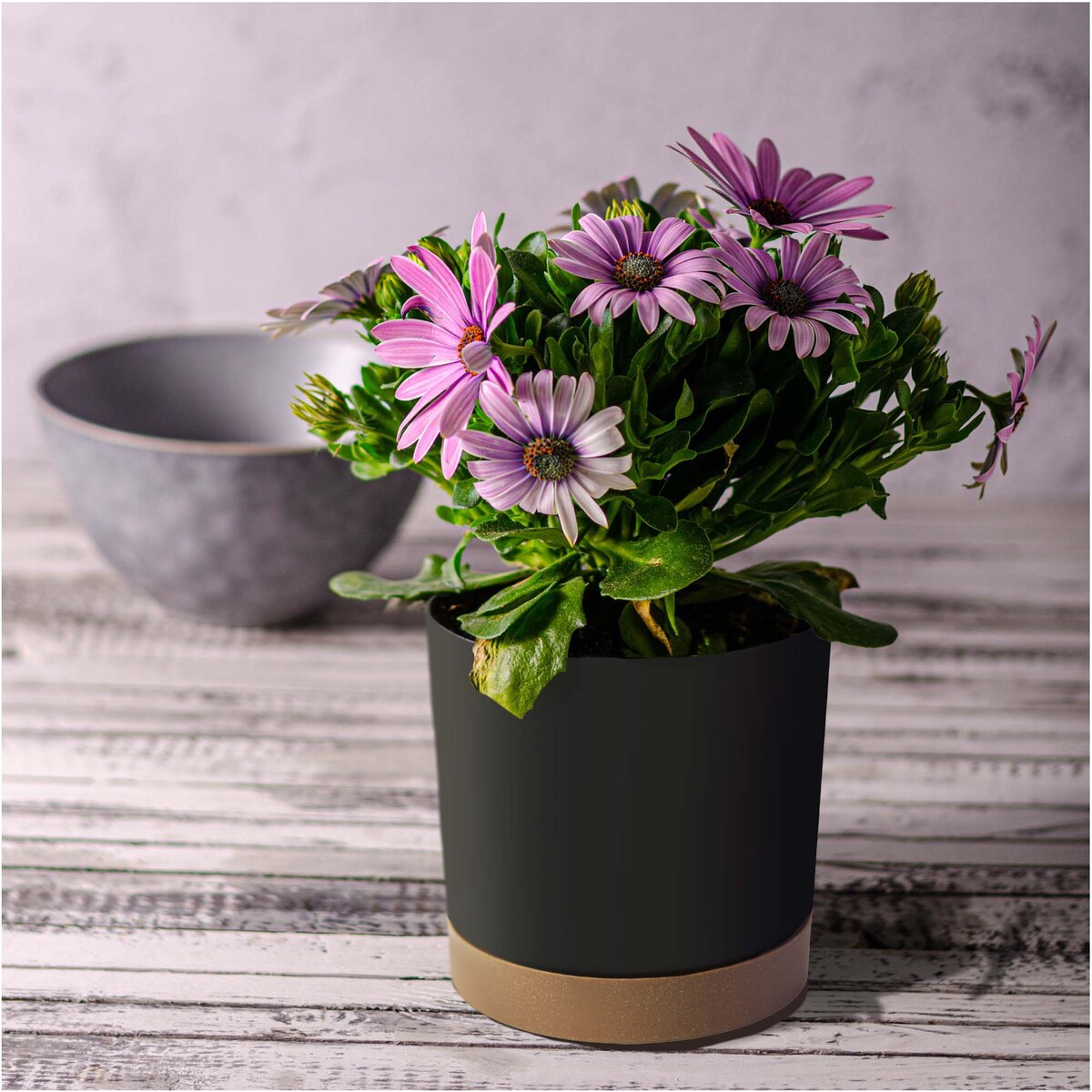 Doniczka Ogrodowa 39Cm Z Podstawką Do Domu Donica Plastikowa Antracyt