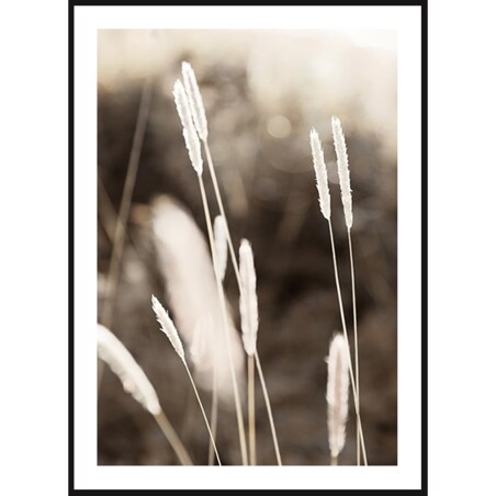 Poster Story, Plakat, Obraz - Wieczorne Letnie Pole No2, wymiary 50 x 70 cm