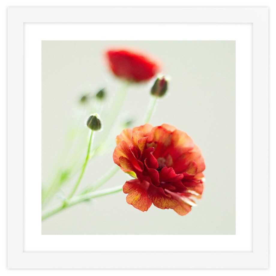 Ramka na zdjęcia 30x30 cm biała rama MDF z plexi do powieszenia pion poziom klasyczna kwadratowa ramka FRAMAI®