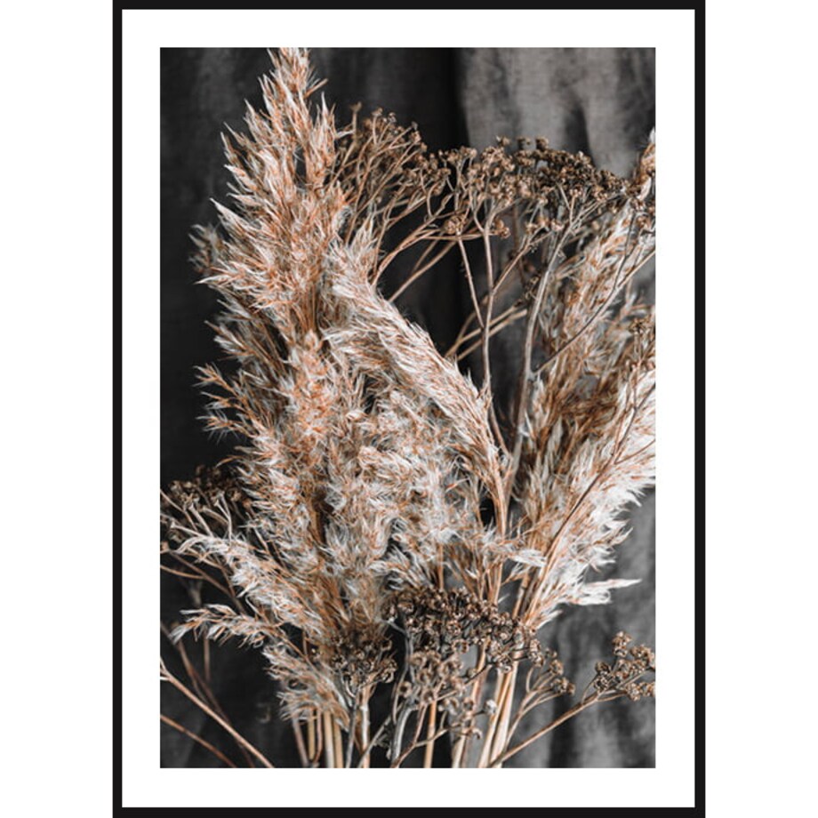 Poster Story, Plakat, Obraz - Suszona Trawa Dekoracyjna, wymiary 50 x 70 cm