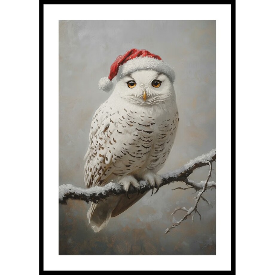 Poster Story, Plakat, Obraz - Sowa w Czapce Mikołaja, wymiary 60 x 84 cm