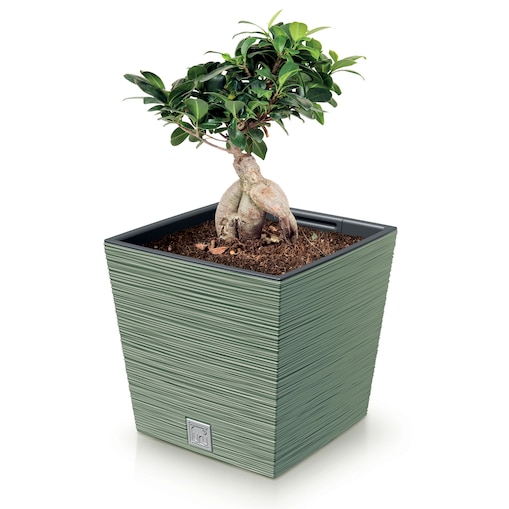 Doniczka Donica Ogrodowa 29,5 Cm Kwadratowa Na Taras Do Ogrodu Domu Zielona