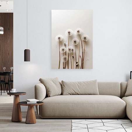 Obraz do salonu kuchni biura, Dmuchawce rośliny natura boho 40x60