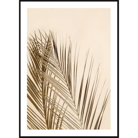 Poster Story, Plakat, Obraz - Wdzięczna Palma, wymiary 50 x 70 cm