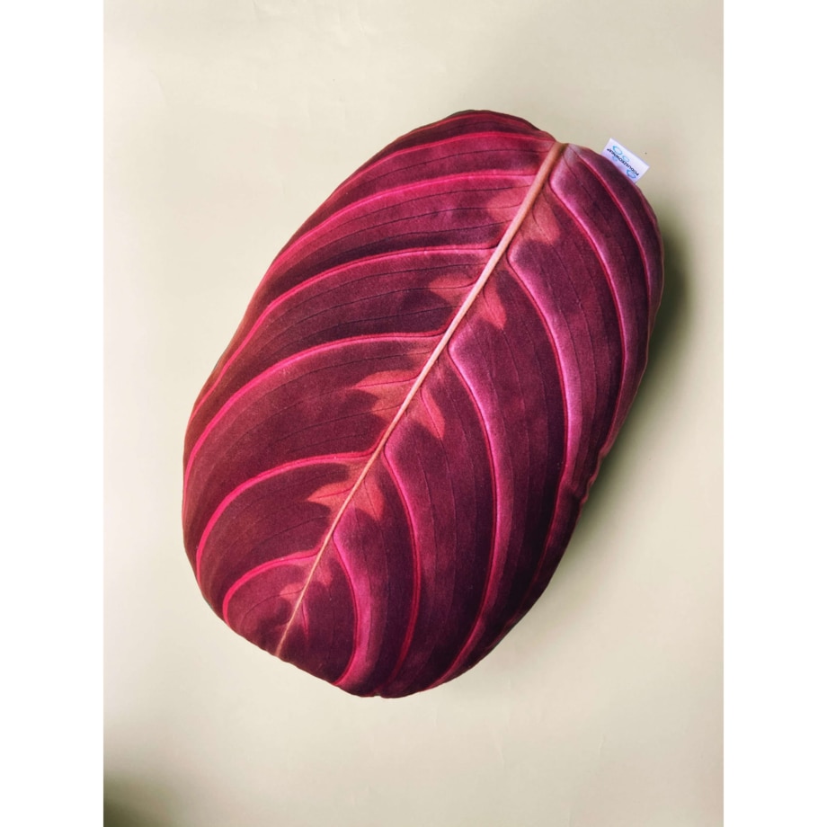 Poduszka Liść Maranta