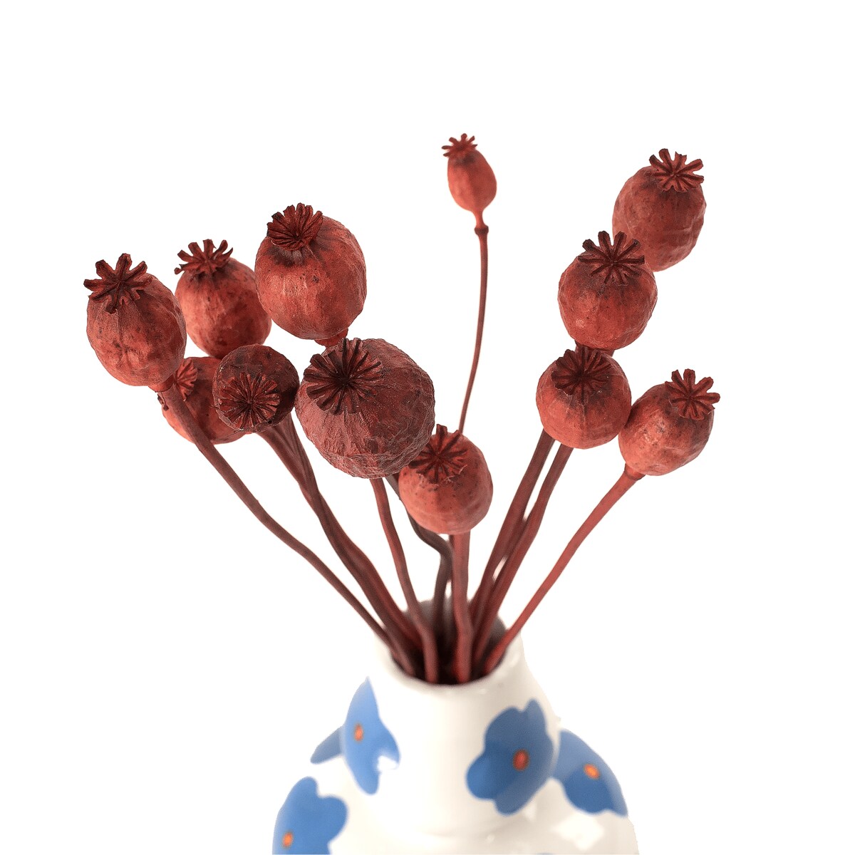 Suszone makówki czerwone - suszone kwiaty 10-12 szt. - bukiet