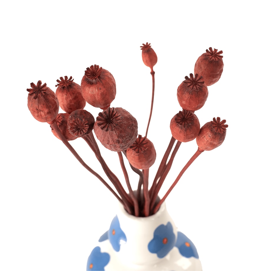 Suszone makówki czerwone - suszone kwiaty 10-12 szt. - bukiet