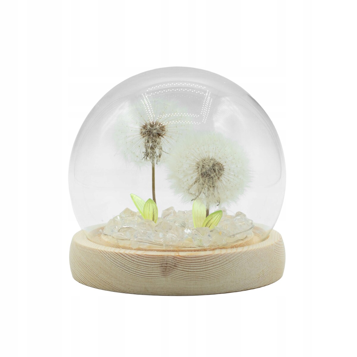 Świetlisty Ogród LED DMUCHAWCE pod Szklaną Kopułą Lampka NOCNA PREZENT usb