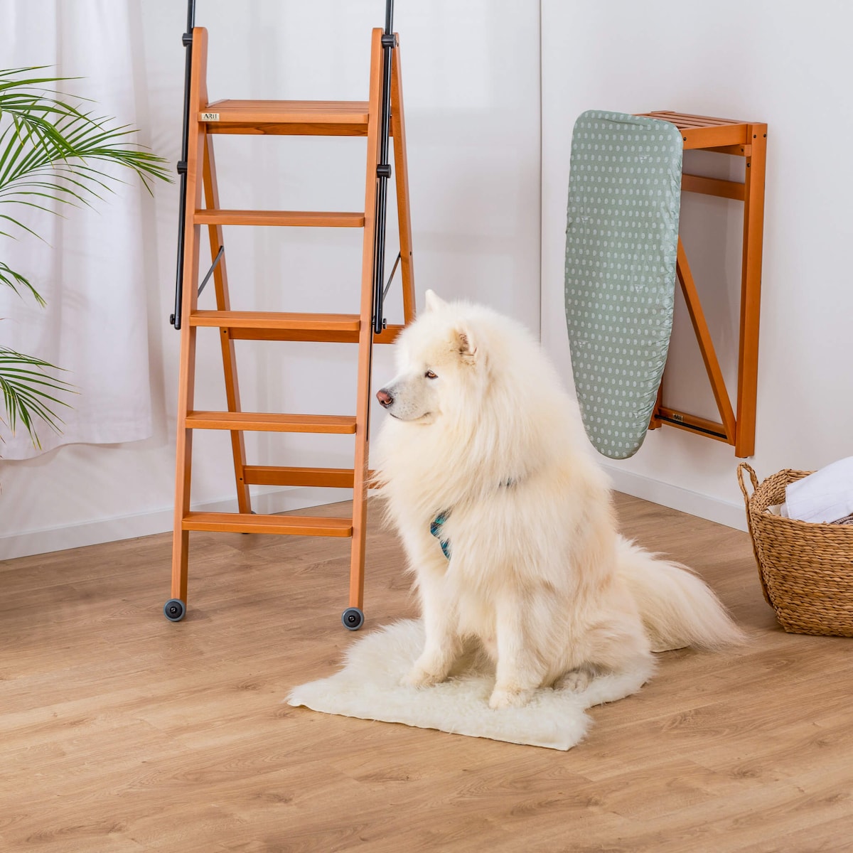 ARREDAMENTI TUSCANIA 5 Drewniana drabina - 182 x 50 cm, Brązowy