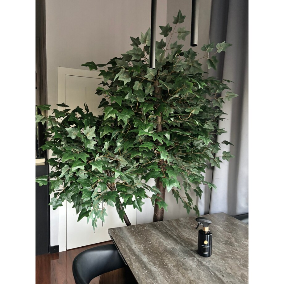 Drzewo klon z zielonymi liśćmi na naturalnym pniu 240 cm