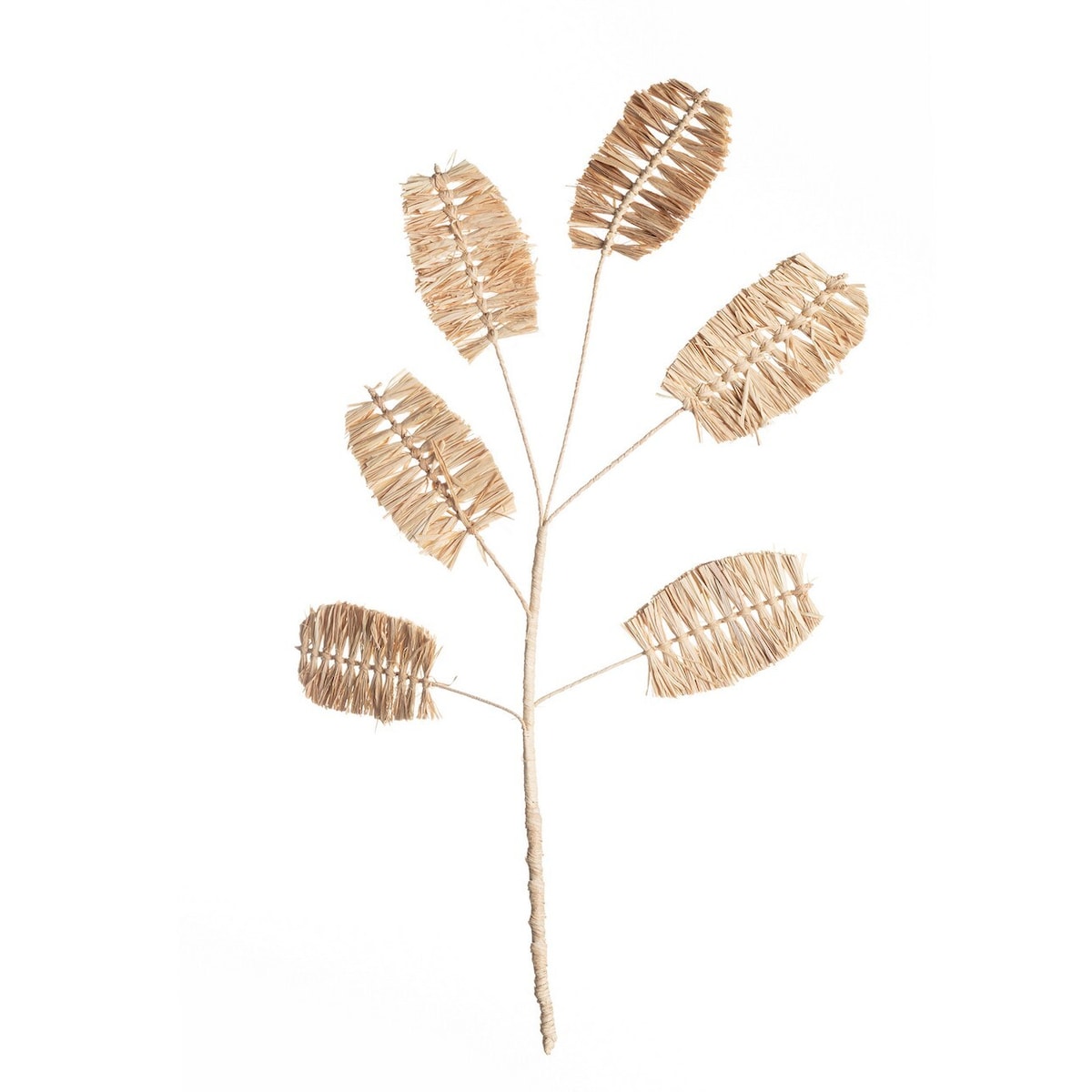 Dekoracja Trawa Naturalna 75cm, 45 x 3 x 75 cm