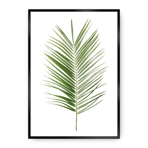 Plakat Palm Leaf Green, 21 x 30 cm, Ramka: Czarna