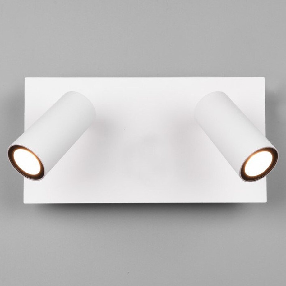 Elewacyjna LAMPA ogrodowa TUNGA 222960231 metalowa OPRAWA regulowany kinkiet LED 6W 3000K tuby loft IP54 białe, Trio