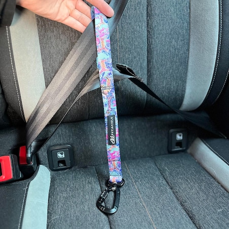 Pętla mocowana do pasa samochodowego "Więcej niż jedno zwierzę"