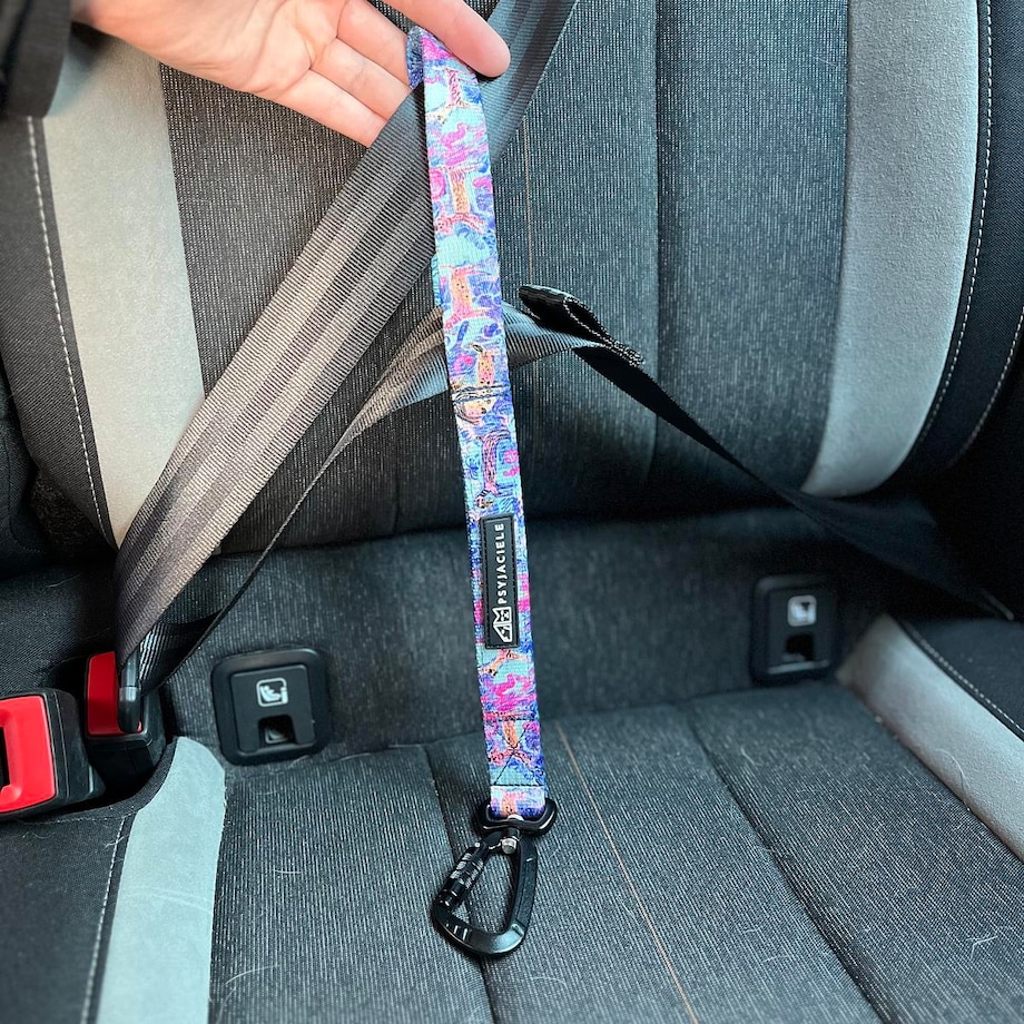 Pętla mocowana do pasa samochodowego "Więcej niż jedno zwierzę"