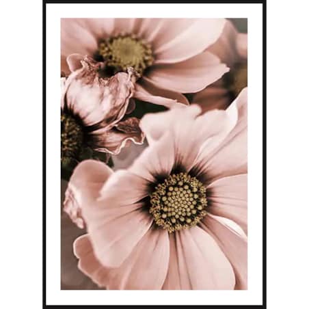 Poster Story, Plakat, Obraz - Różowe Magnolie, wymiary 50 x 70 cm