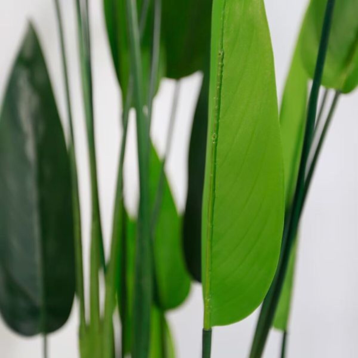 KWIAT DUŻA STRELICJA KRÓLEWSKA 150 cm