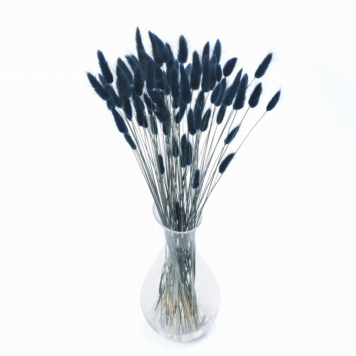 Lagurus Suszony Niebieski - Petrol