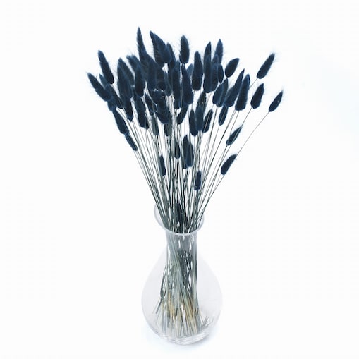 Lagurus Suszony Niebieski - Petrol