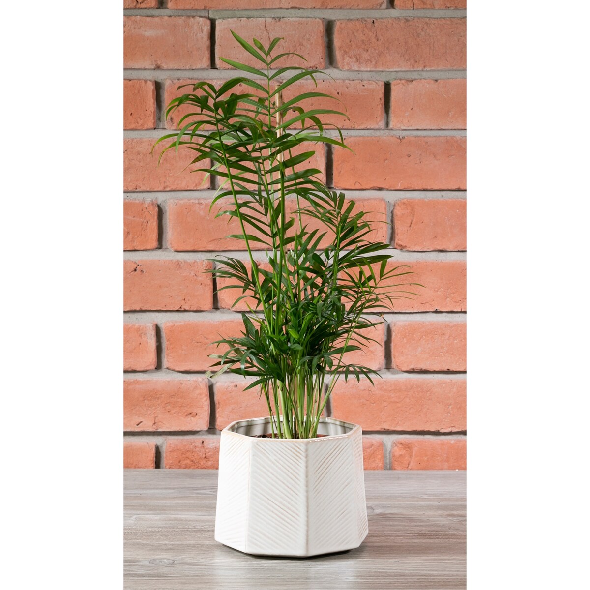 SZARA DONICA ceramiczna śr. 15cm