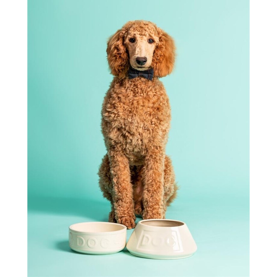 Miska dla psów długouchych kremowa, 21 x 8.5 cm, Mason Cash