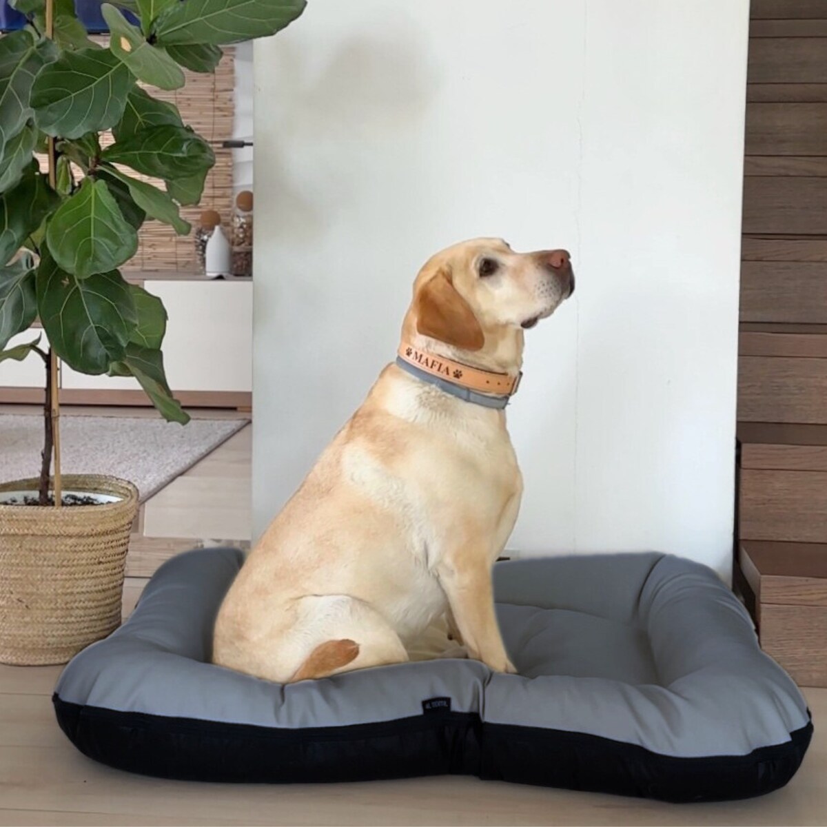 Legowisko Ponton dla psa z eko skóry ELLA, 110x90 cm, Grafit