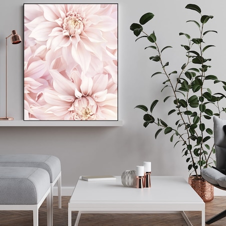 plakat dalie 70x100 cm