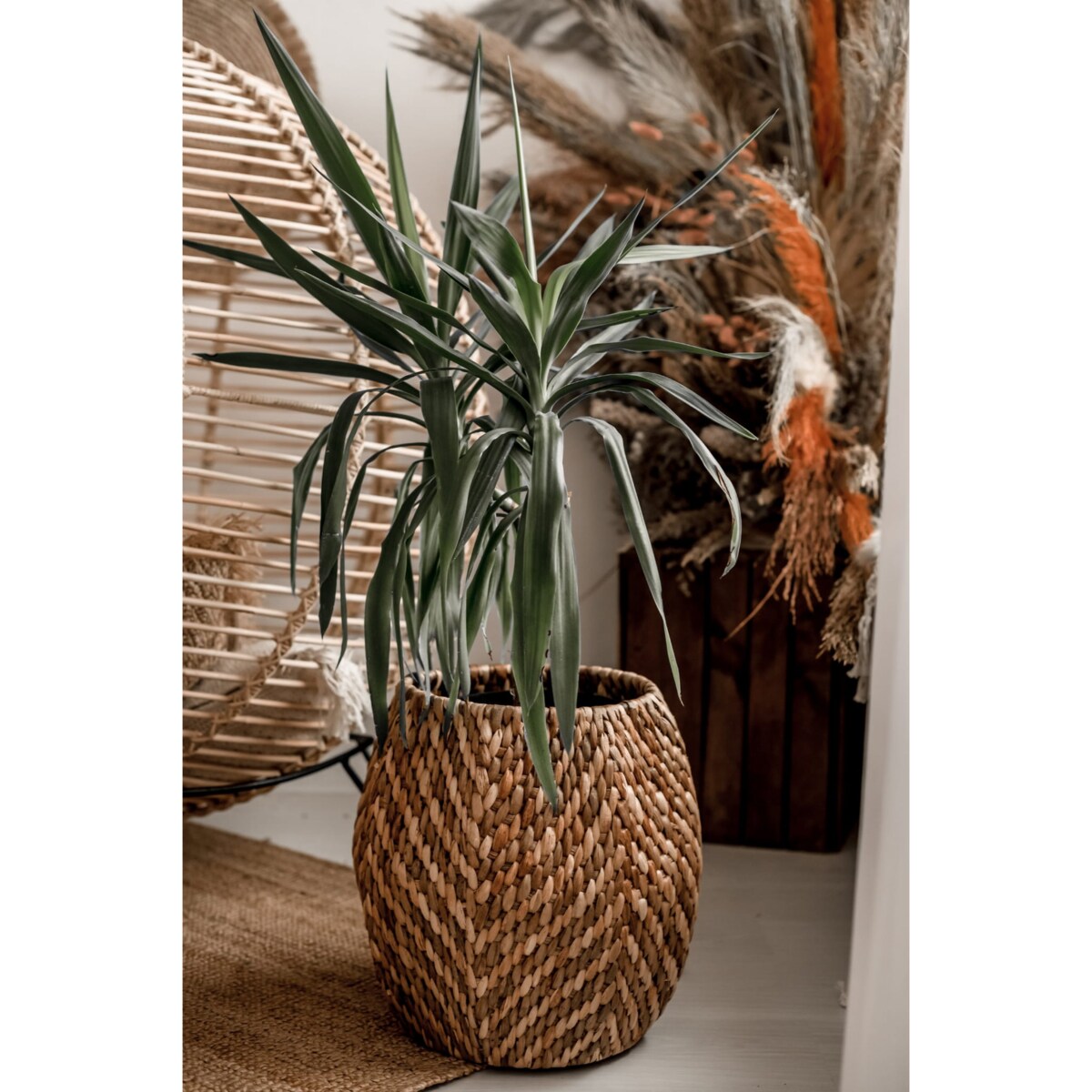 DONICA RUMBA ZE WZOREM