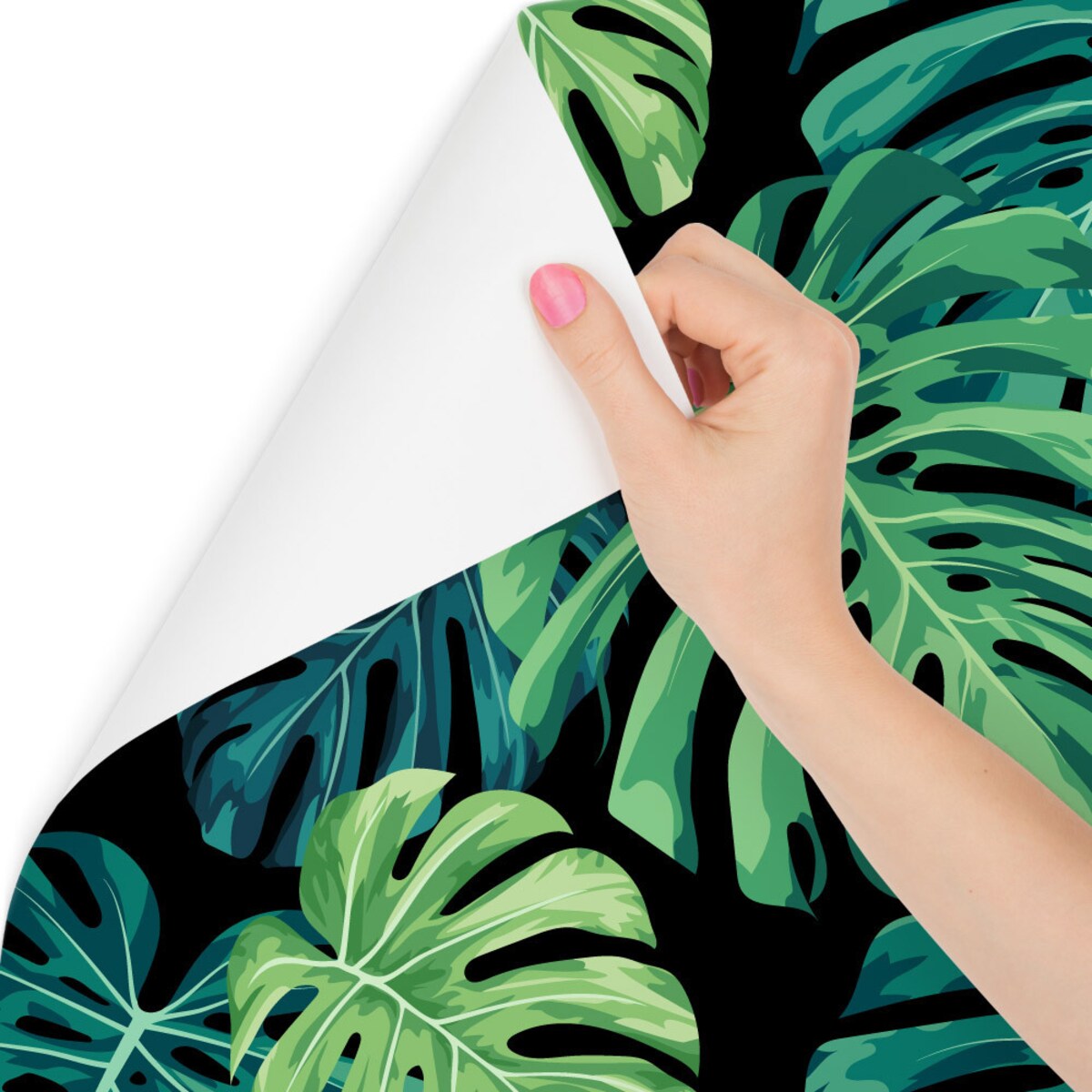 Tapeta Liście Monstery Tropikalne Rośliny