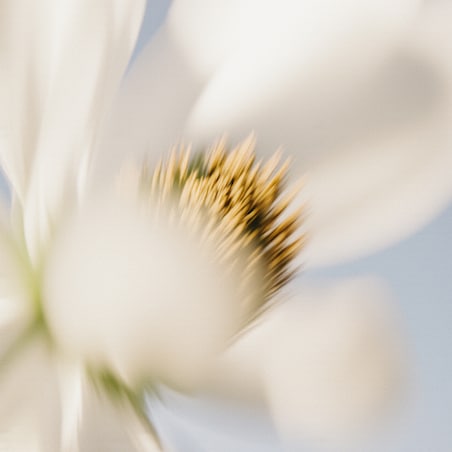 Côte Blanche - 30ml zapach do Dyfuzora Plug In