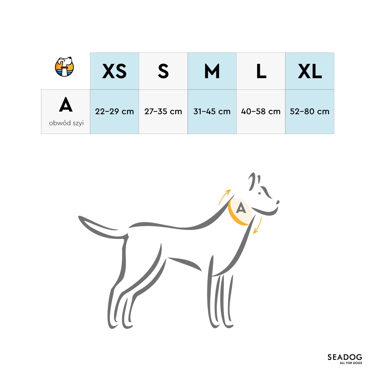 Zestaw: smycz, obroża i bandana, rozmiar S