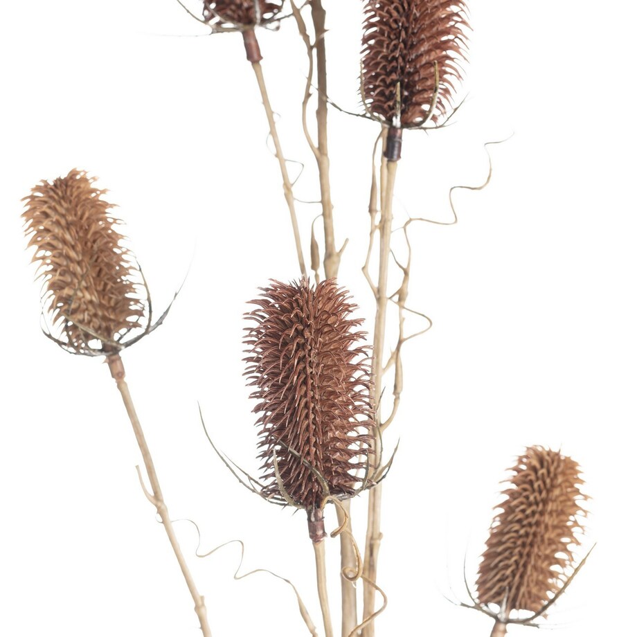 Oset Ozdobny 110cm red beige, 5 x 5 x 110 cm