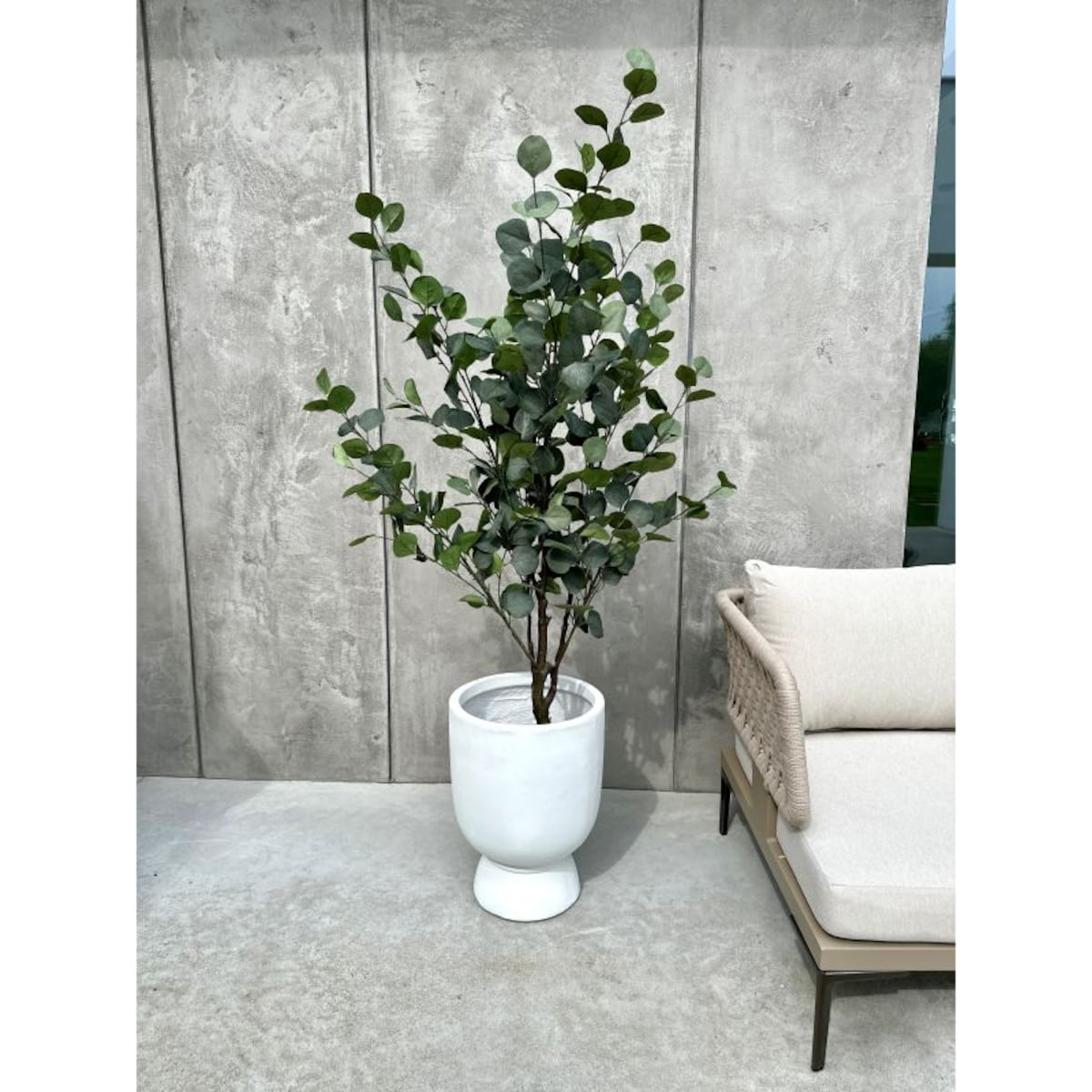 DRZEWKO EUKALIPTUSOWE 150 cm