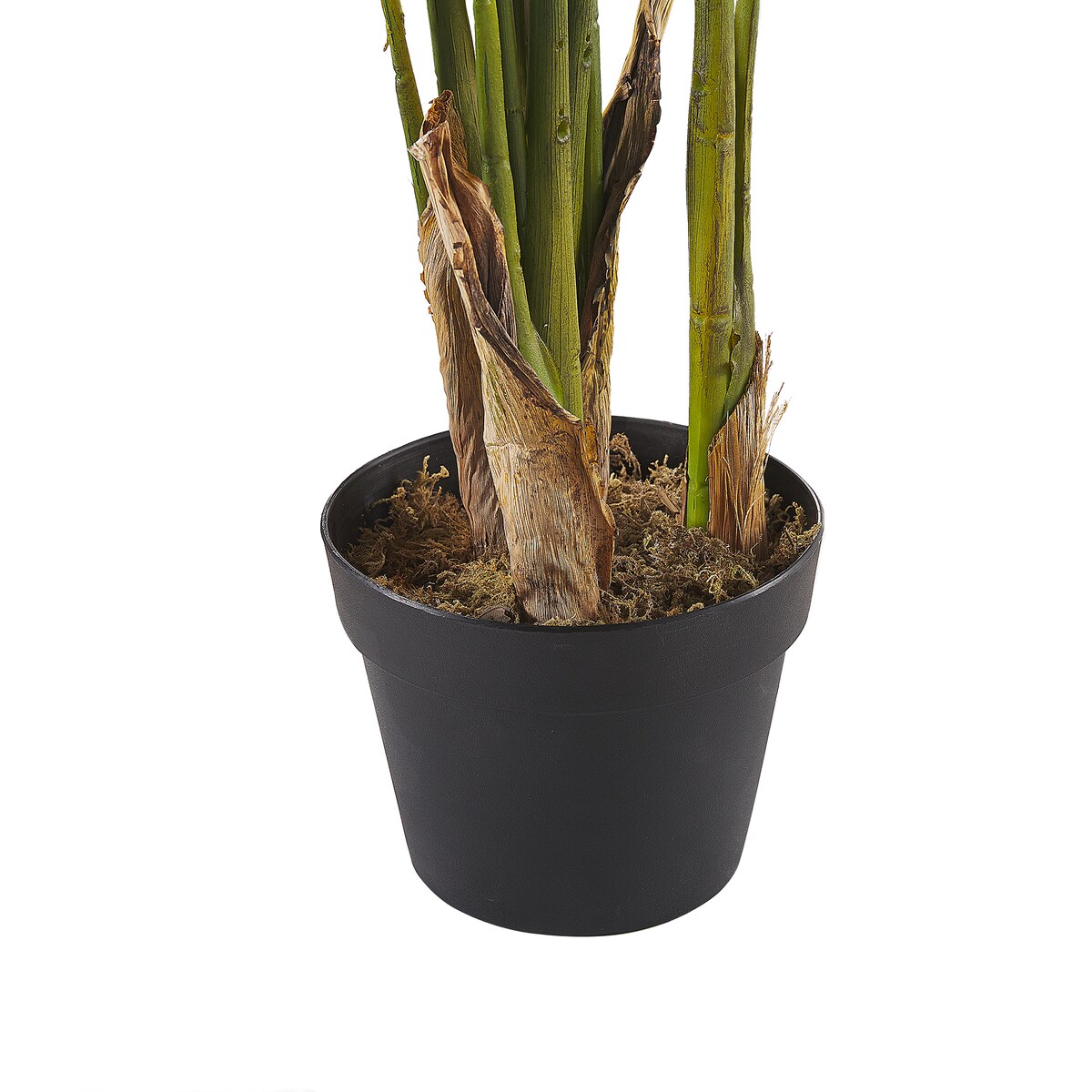 Sztuczna roślina STRELITZIA TREE 115 cm Zielony