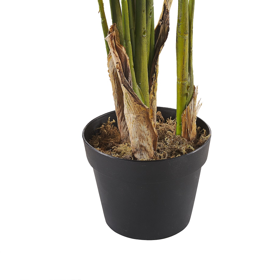 Sztuczna roślina STRELITZIA TREE 115 cm Zielony