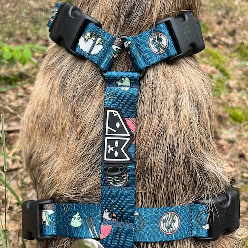 Szelki guard Stay on "Psutomaki" - Szerokość taśmy: 25mm, Rozmiar: S