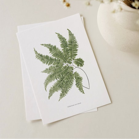 Plakat Paproć 21x30cm