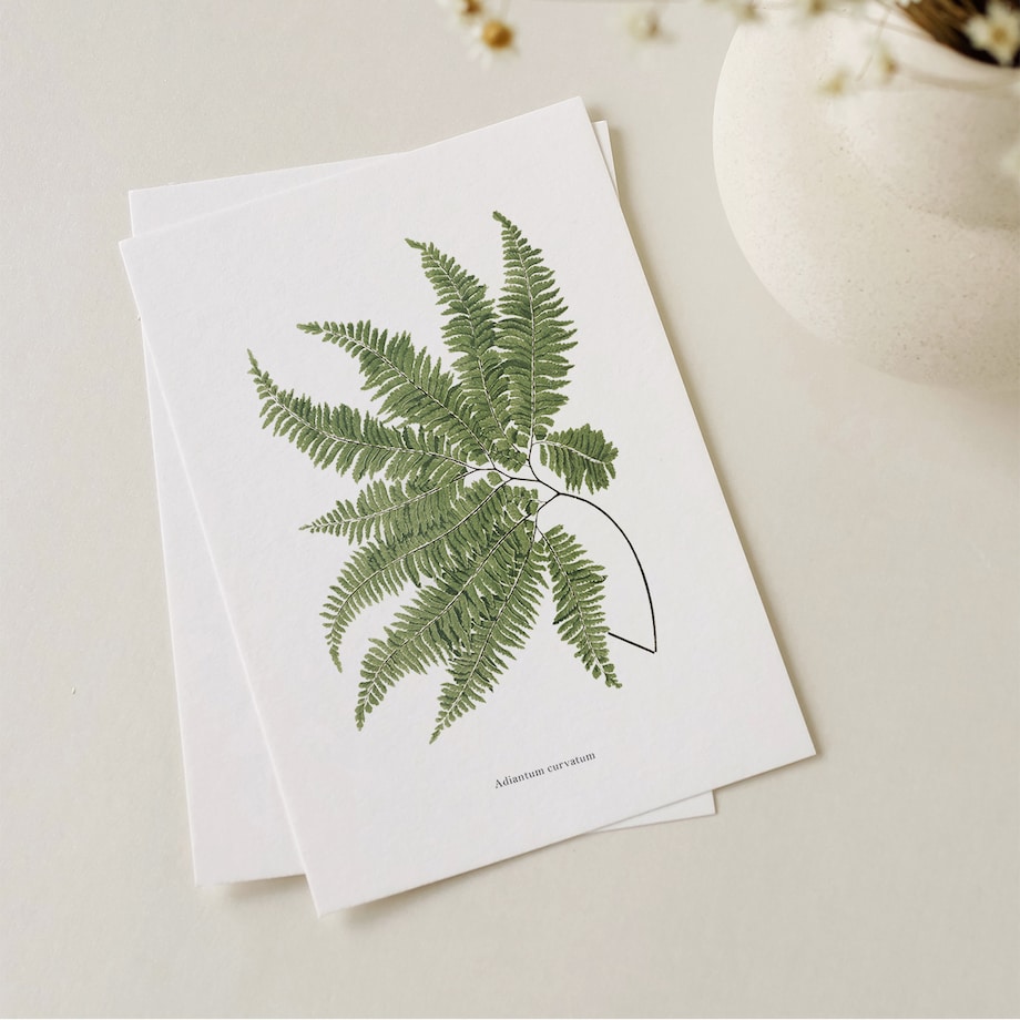 Plakat Paproć 21x30cm