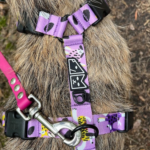 Szelki guard Stay on "Pieski floreski" - Szerokość taśmy: 25mm, Rozmiar: XL