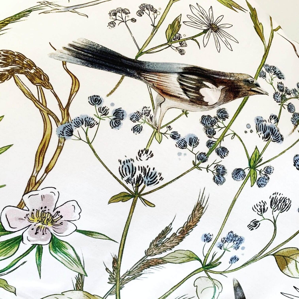 Pościel Ptasie radio 220/200 + 2 x 50/60 cm