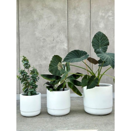 DONICZKA SANTIAGO WHITE L