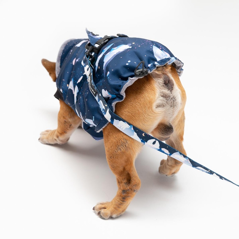 Kurtka dla psa "Miś Polargol" - Rozmiar: XXS