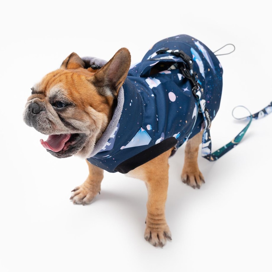 Kurtka dla psa "Miś Polargol" - Rozmiar: XXS