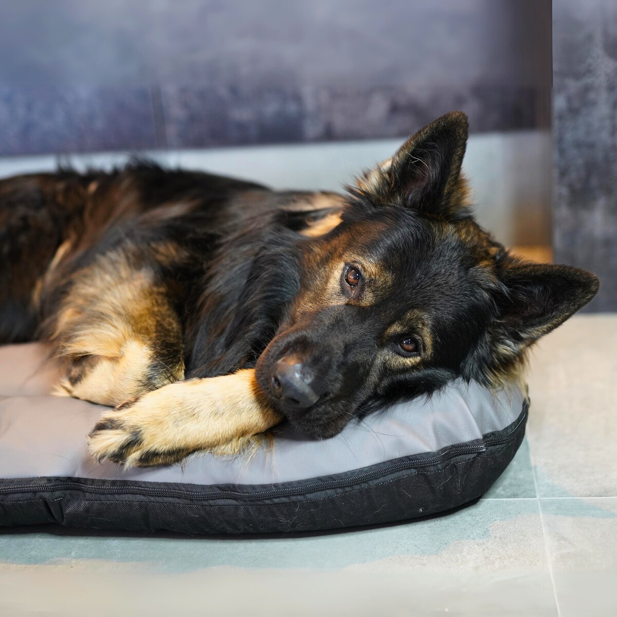 Legowisko Ponton dla psa z eko skóry ELLA, 130x110 cm, Szary