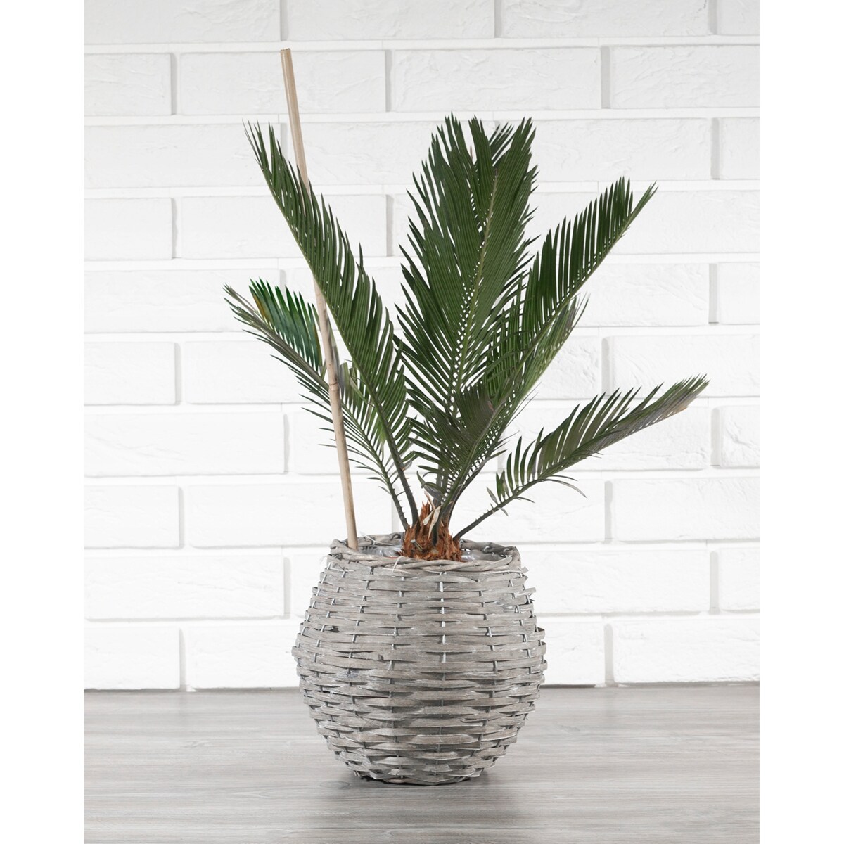 DONICA STYL BOHO drewniana śr. 20cm
