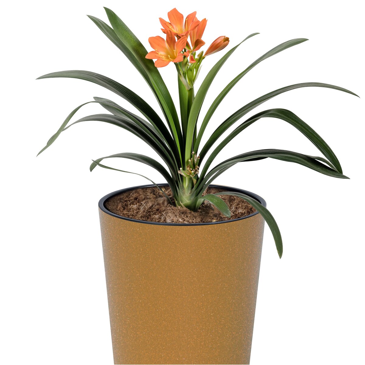 Donica Doniczka Ogrodowa 25 Cm Na Taras Do Ogrodu Domu Eco Wood Brązowa