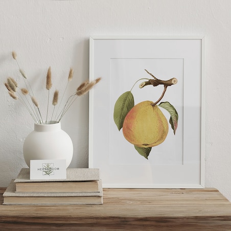 Plakat dojrzała gruszka 21x30cm