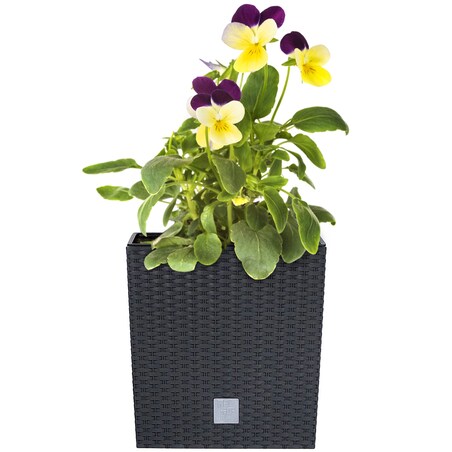 Doniczka Donica Ratanowa Kwadratowa Do Ogrodu Domu 4 L